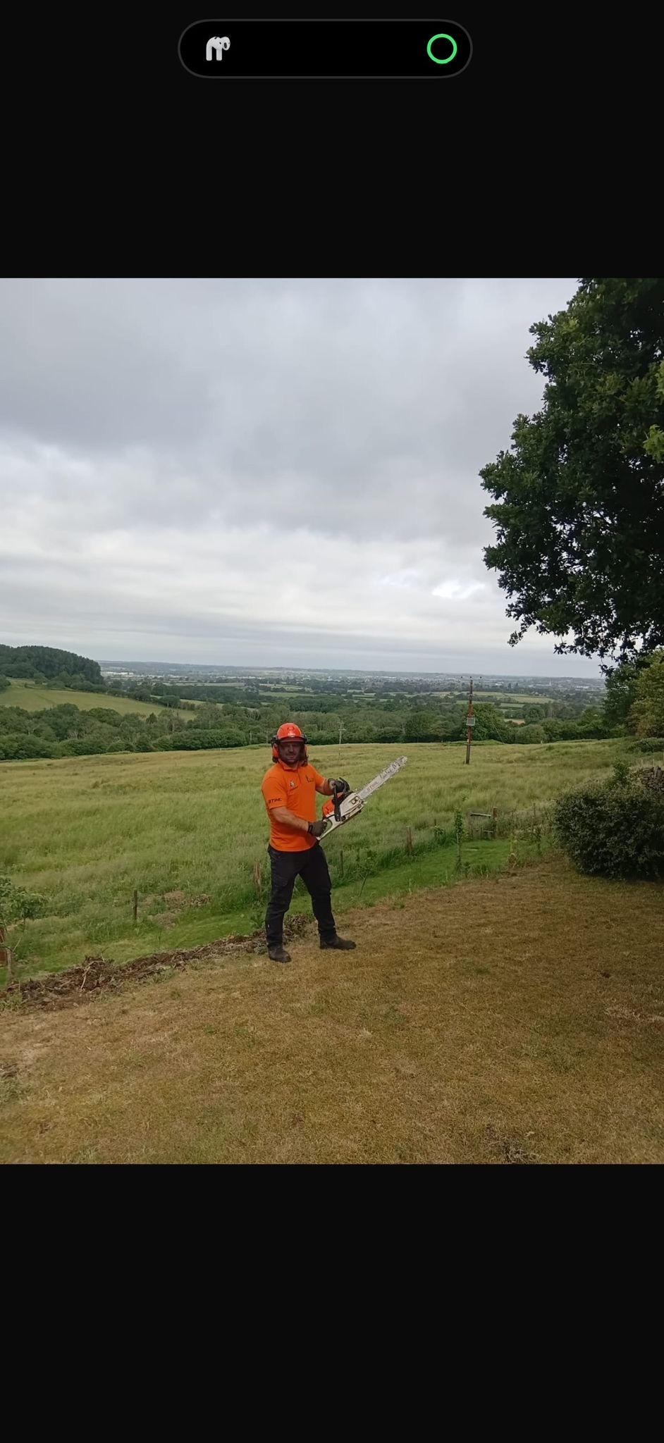 Alpines tree surgery project photo