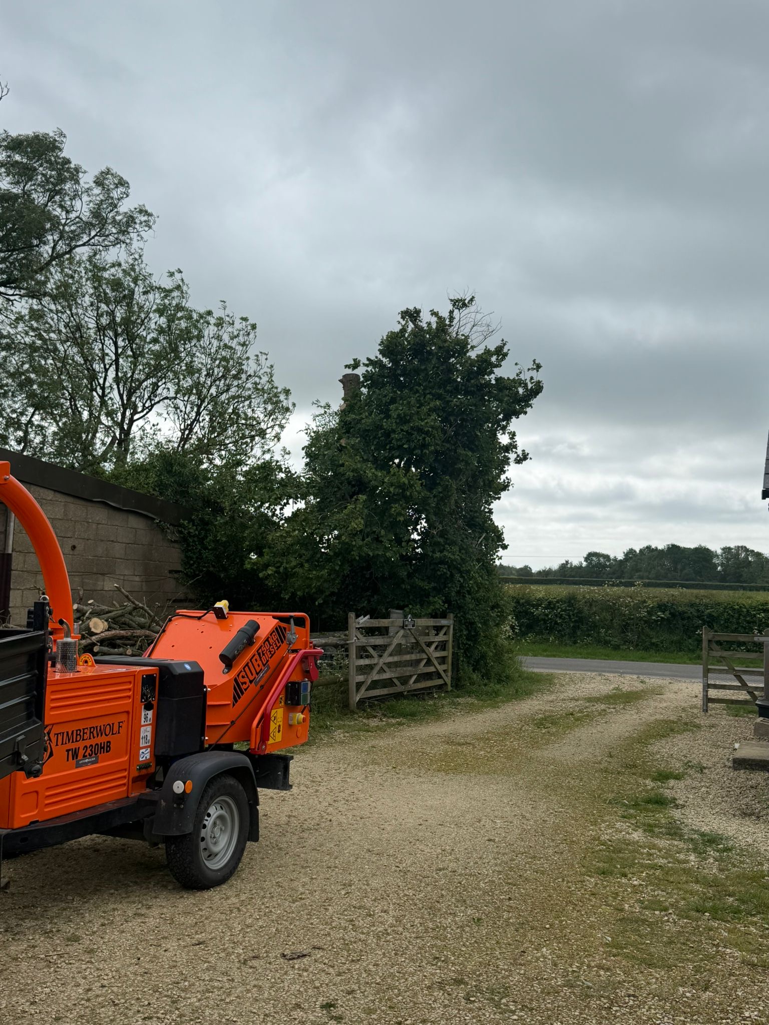 Alpines tree surgery project photo